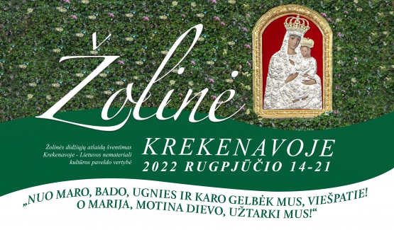 Zoline22 web